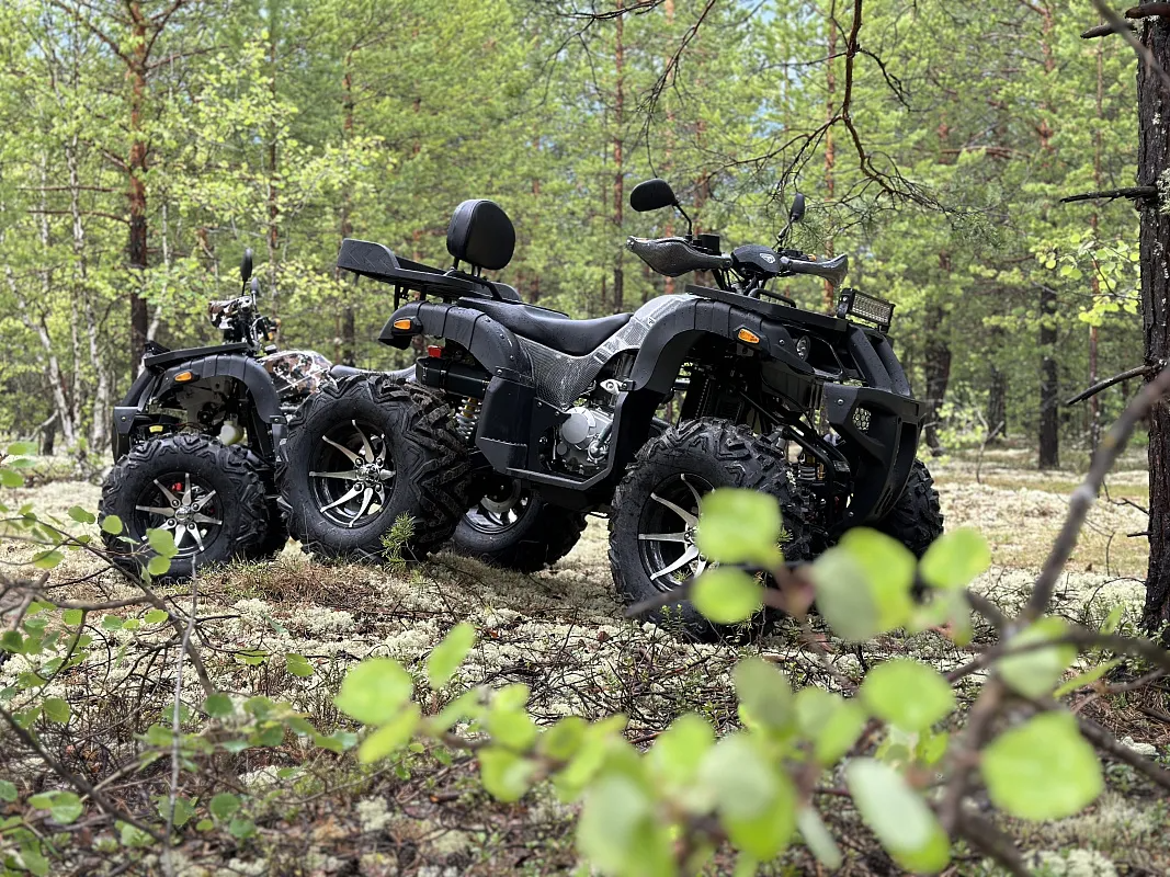 PROMAX 320 DOMINATOR (2025)